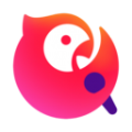 vpm 破解