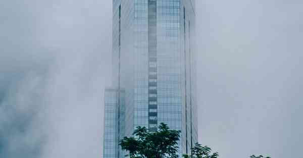 apk pure中文官网